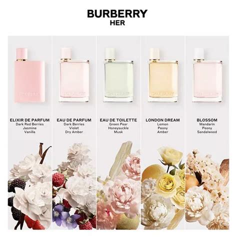 burberry her perfume smells like|where to buy burberry perfume.